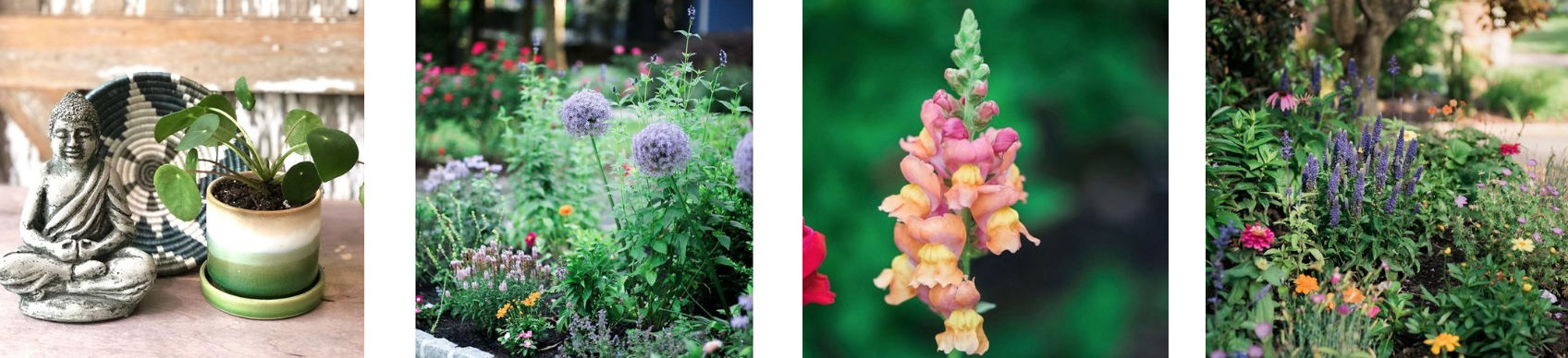 Inspired Garden work examples